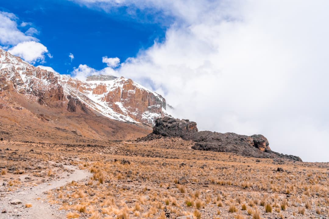 Alpine Desert Expanse