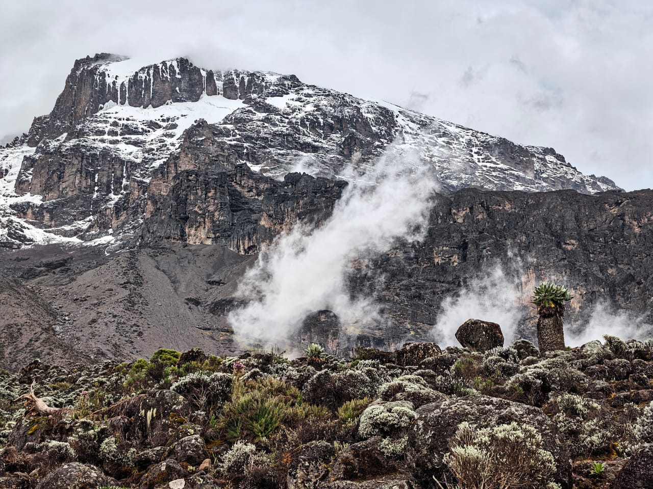 Barranco Camp