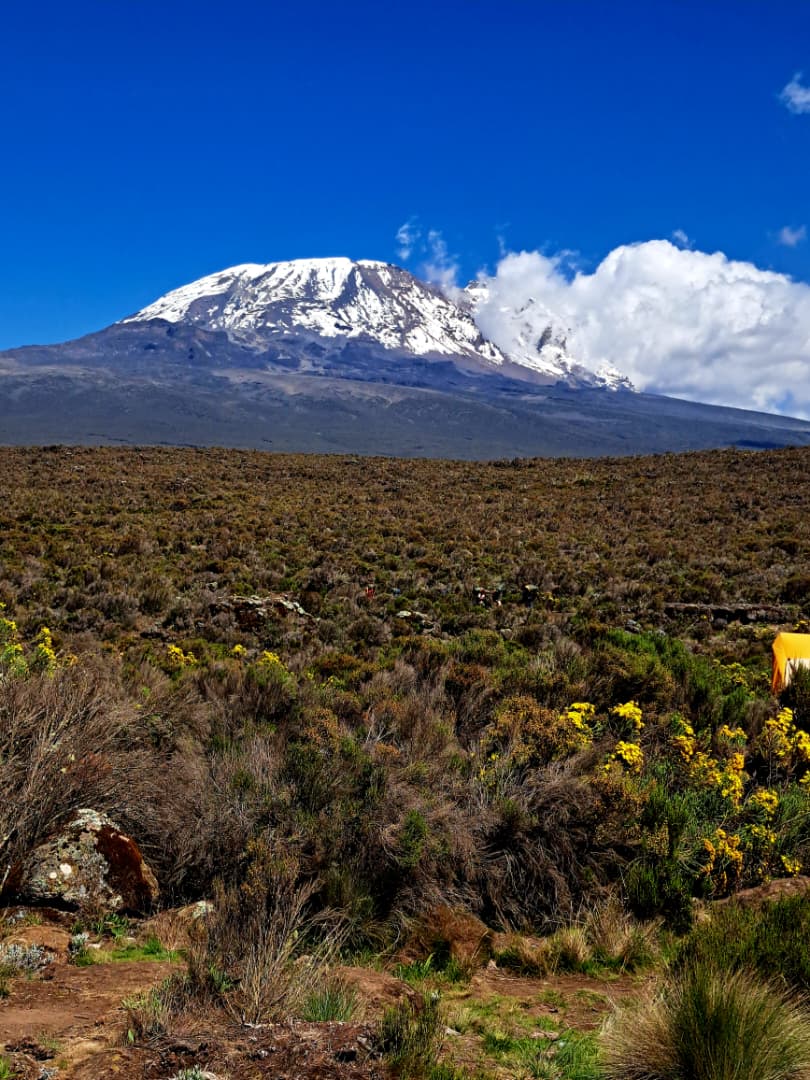 Kilimanjaro Day Trip